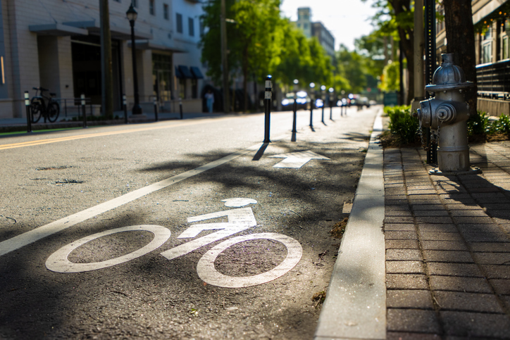 Bicycle lane marked on a city street with a fire hydrant and trees in the background. Sunlight casts shadows.